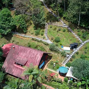 Bosque De Niebla Birding & Nature Cali
